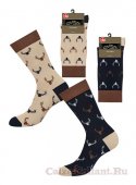 Новинка - мужские носки с рисунком Style 508 в коллекции бренда Omsa